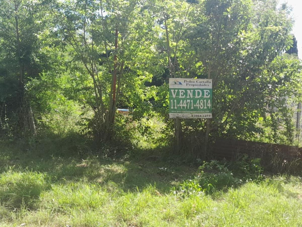 Foto de Se vende lote de 800m2 en Laguna de Lobos . EL COMPRADOR NO ABONA, imagen 4