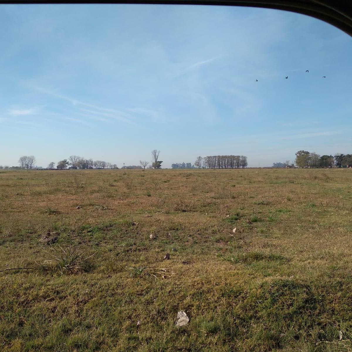 SE VENDE CAMPO DE 59HA EN SAN VICENTE