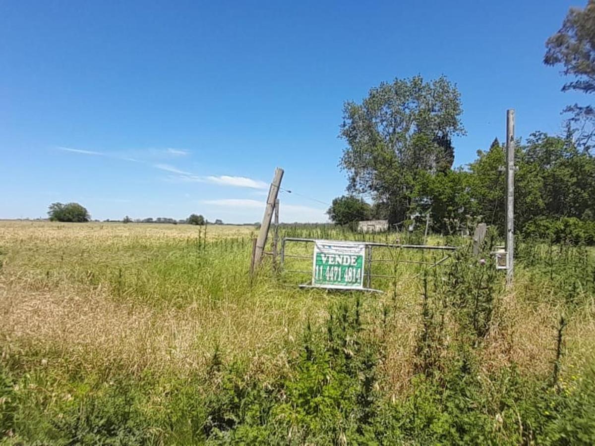 SE VENDE FRACCION DE 5,5 Ha  EN VIRREY DEL PINO