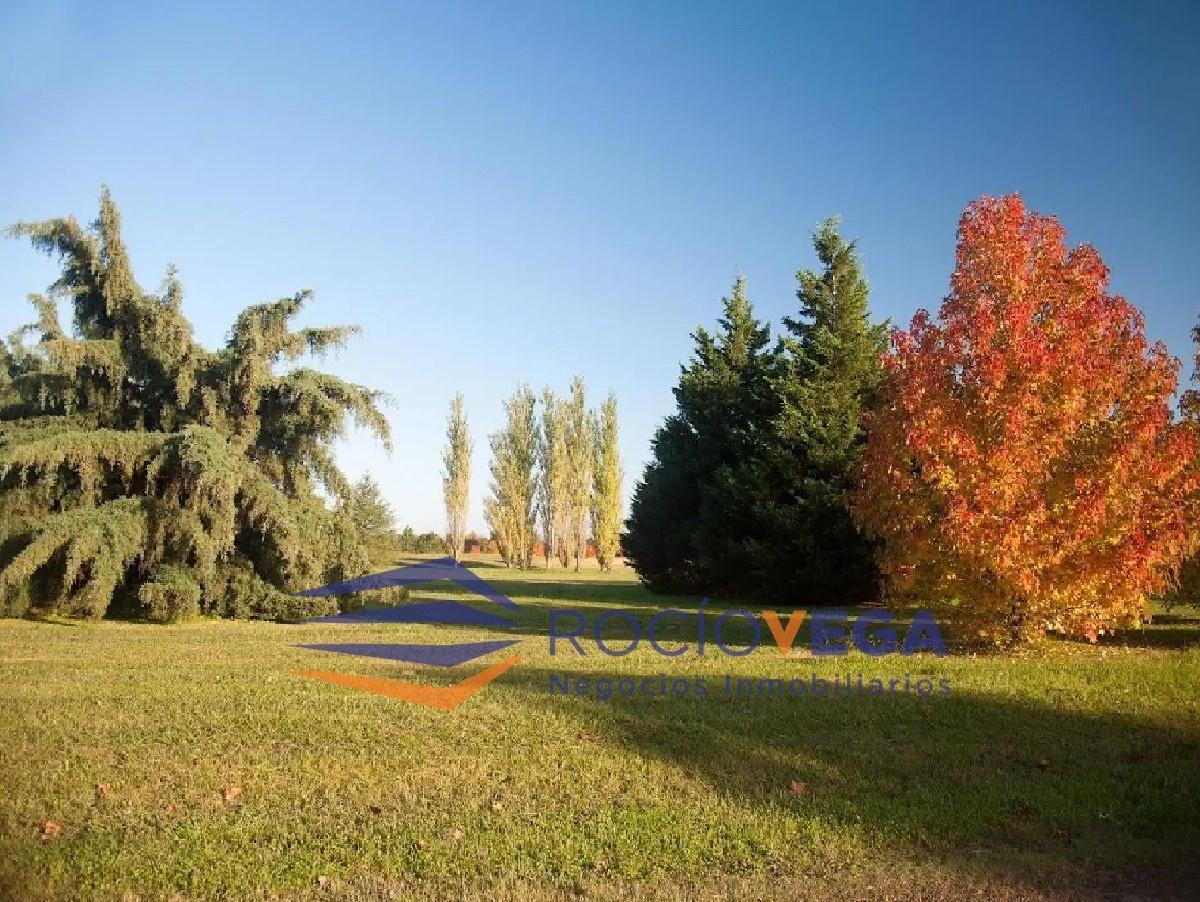 Terreno en Venta en Barrio La Primavera Golf, Lujan