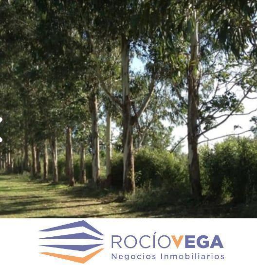 Lote en venta en Santo Tomás, Pilar