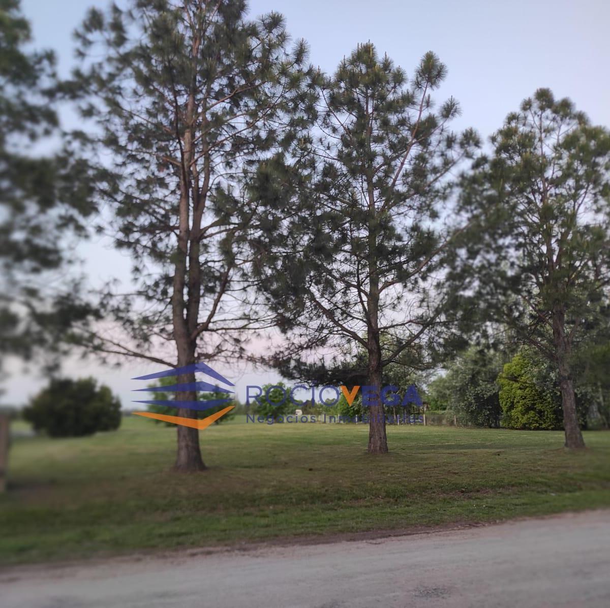 Terreno en venta en la Primavera Golf