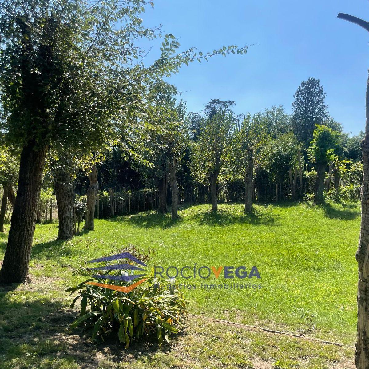 Casa Quinta en Venta Merlo Barrio Pompeya, Merlo 5