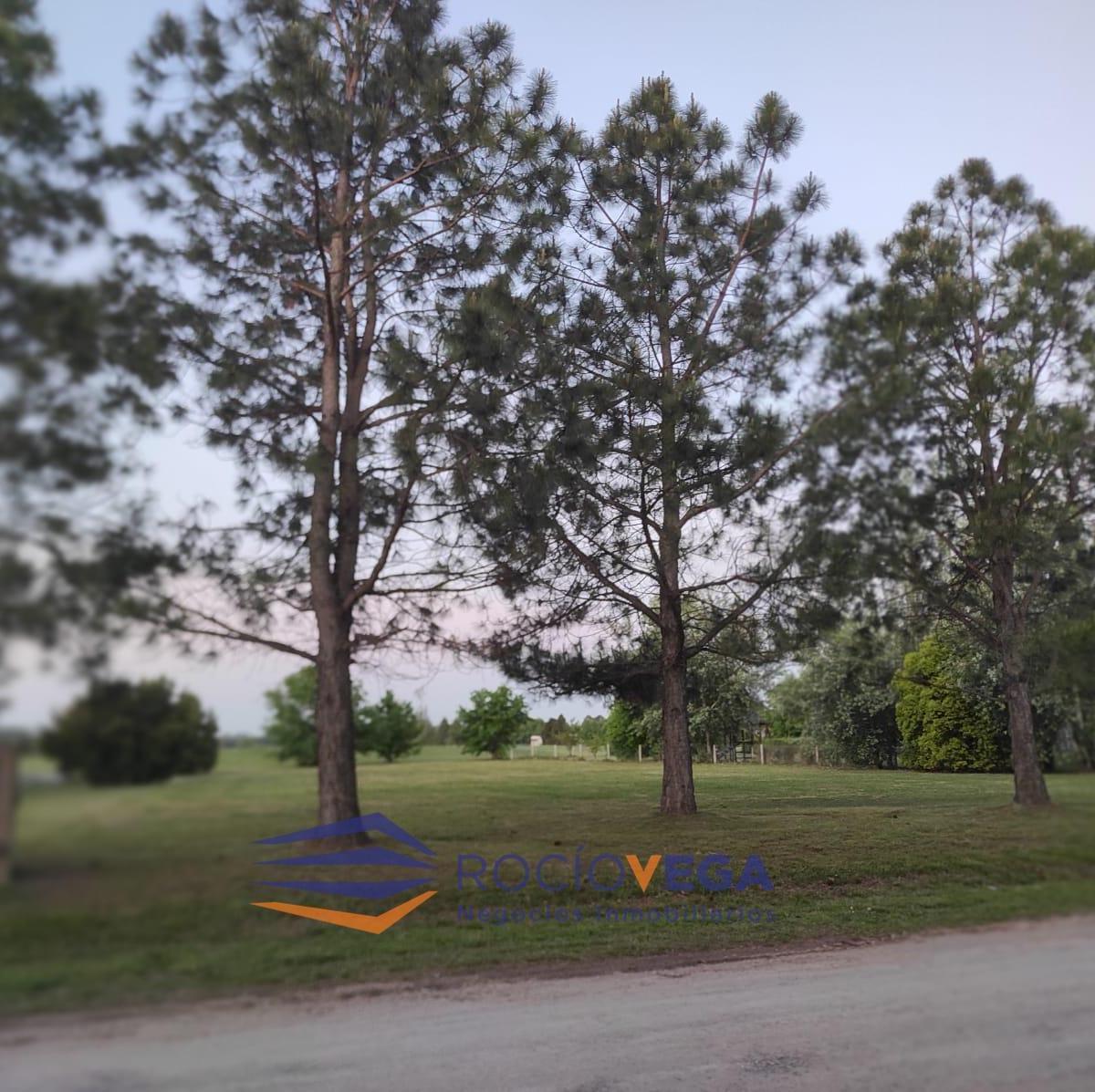 Foto de Terreno en Venta en La Primavera Golf, imagen 3