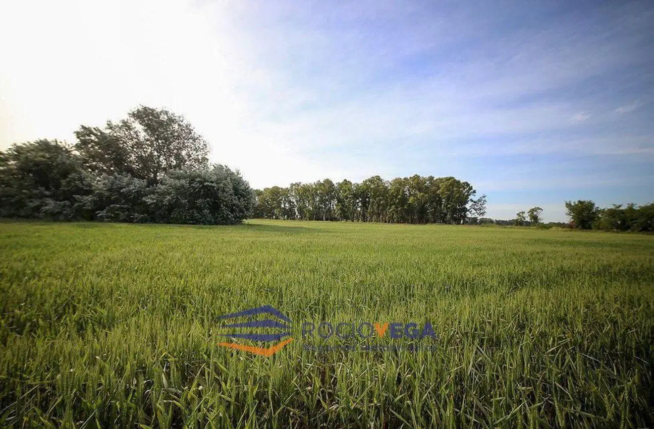 Terreno en venta en Chacras de San Andrés, San Andres de Giles 5