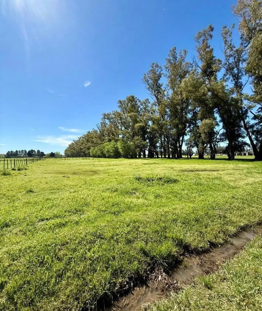 Terreno en Chacras de San Andrés 5