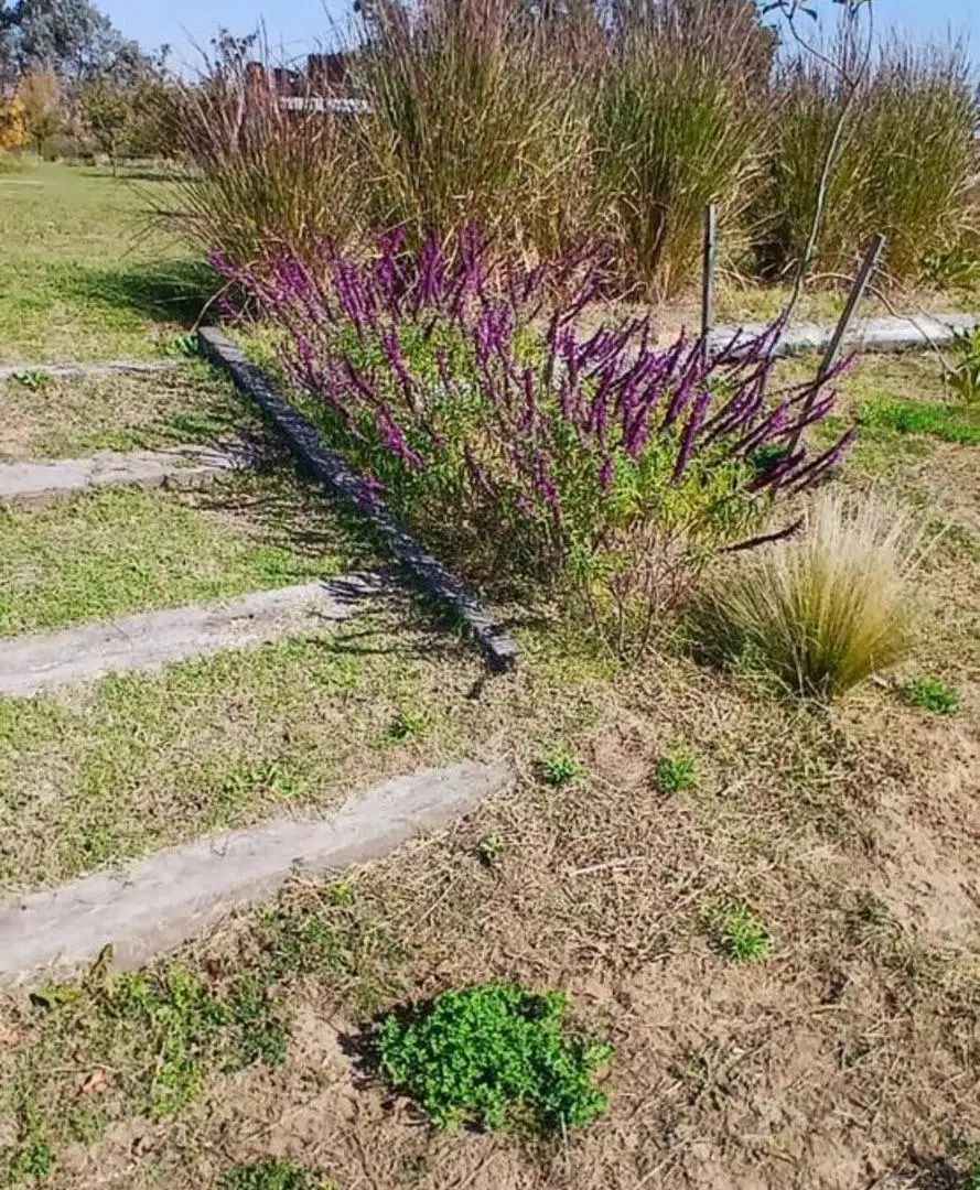 Lote a la venta en Laguna de las Pampas, Ruta Nacional 7 km 90 4