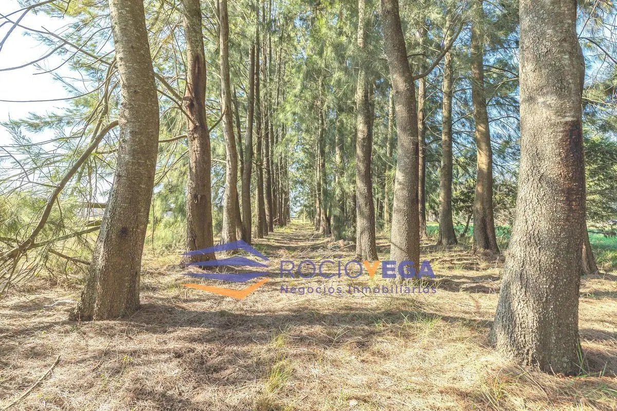 Lote a la venta en Estancia Las Lilas, Luján 3