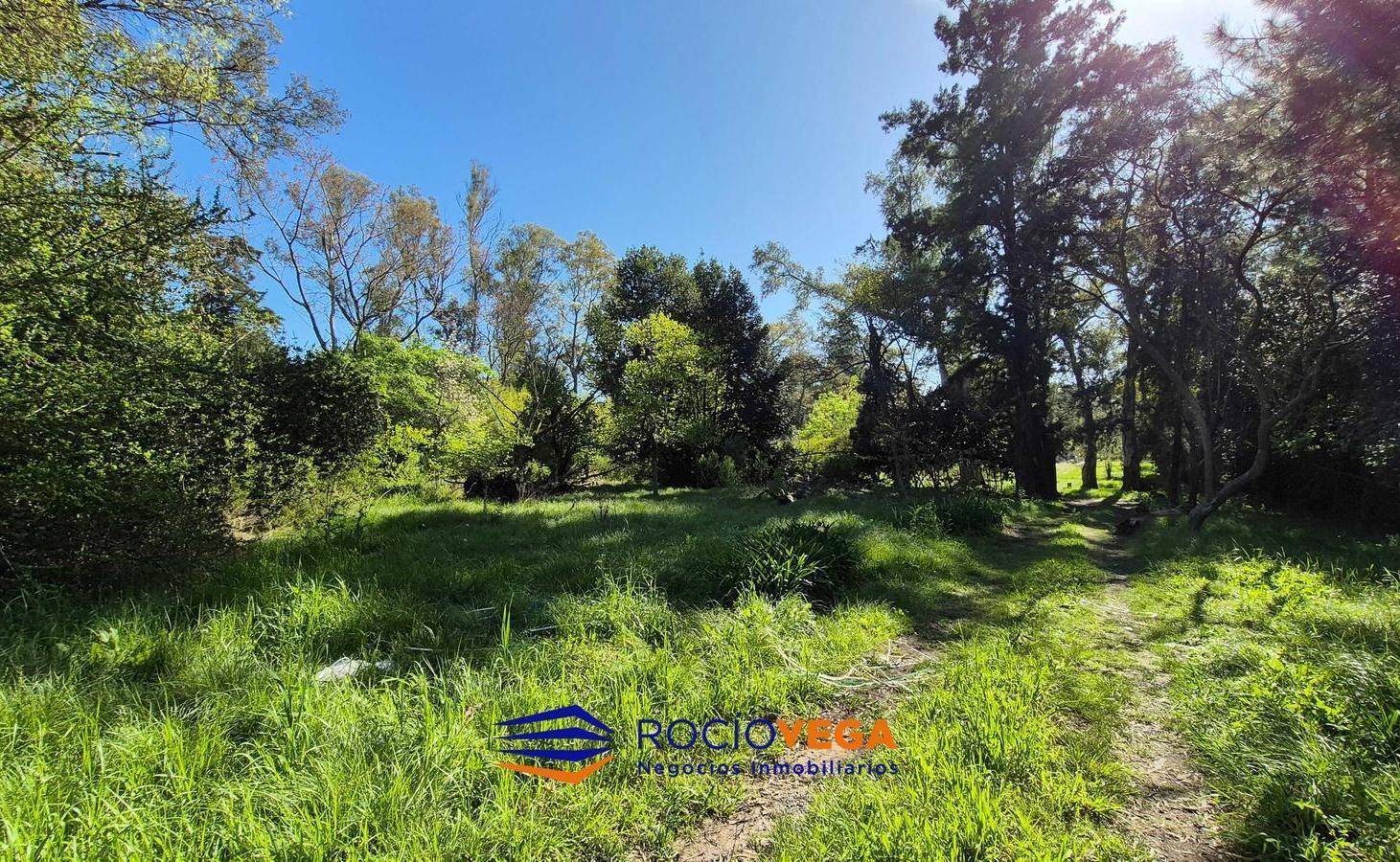Foto de Lote a la venta en Villa Rosa, Pilar, imagen 5