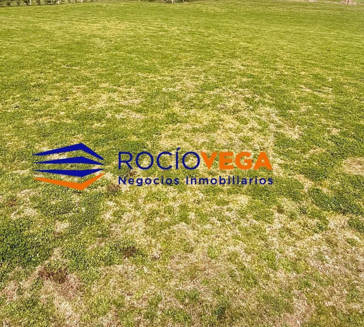 Foto de Terreno en Venta en Prados del Oeste, Moreno, imagen 1