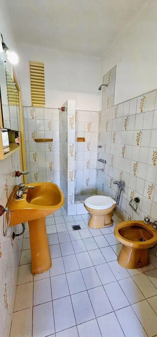 Luz, jardín y ubicación ideal: 2 amb. en Balvanera 4
