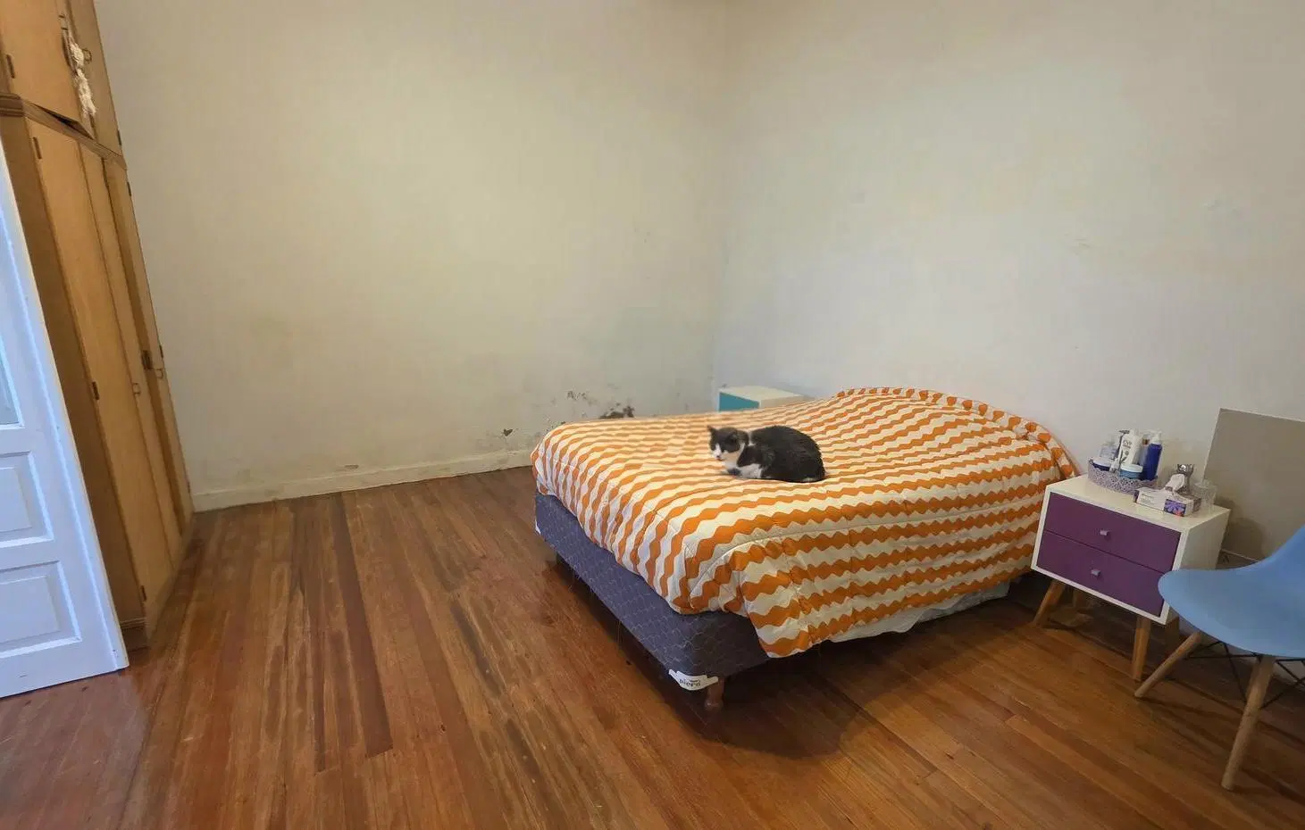 Lacarra 1180: PH 3amb. + patio techado, al frente, sin expensas. 8