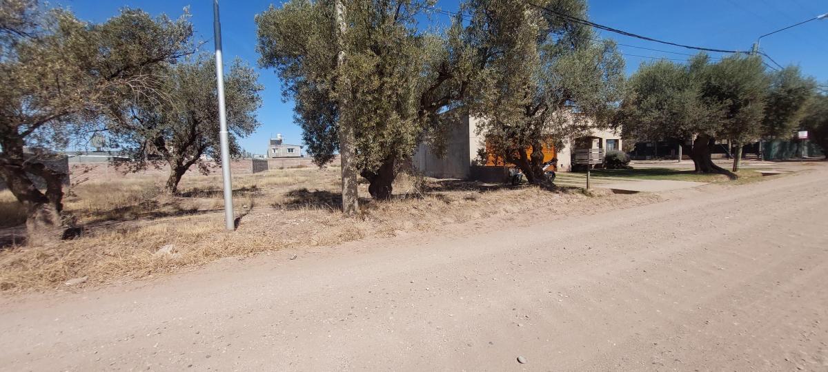 LOTES BARRIO VIÑUELAS DESDE 300M2