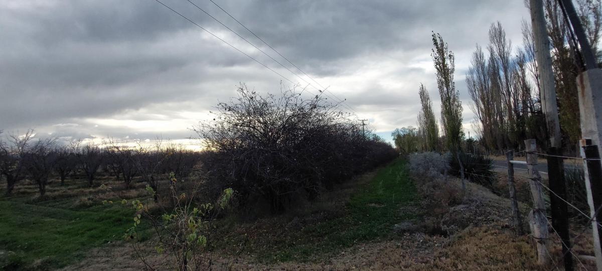 Finca de 6has con Frente Sobre Cubillos 4