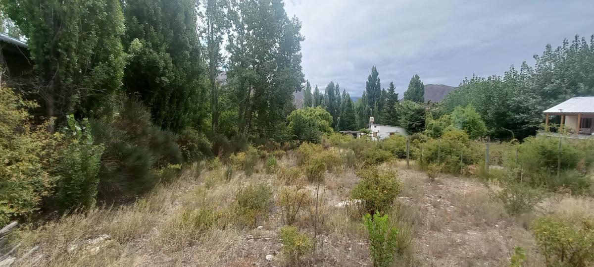 Lizana Propiedades Vende Lote en El Salto Potrerillos. 5
