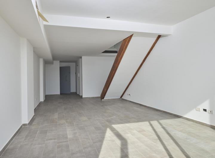 Vivienda /oficina en Duplex / Piso Alto/sum/ TODO LUZ 5