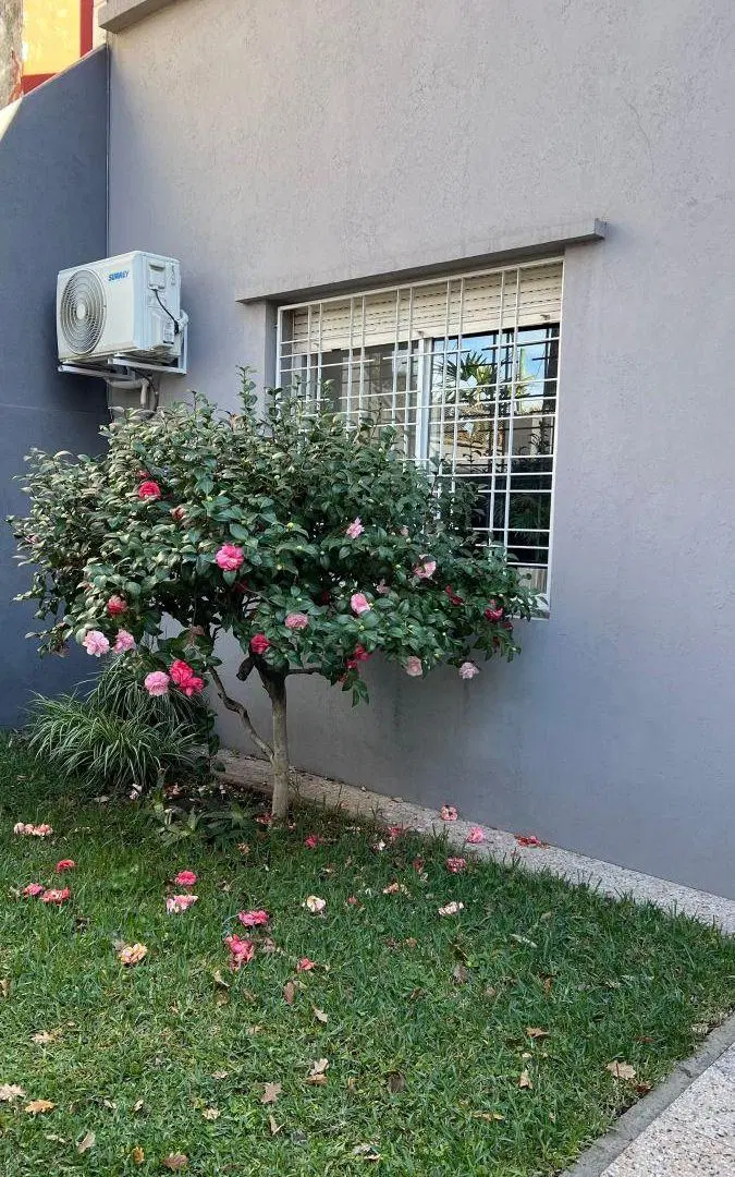 VENTA CASA CON JARDIN, PATIO Y TERRAZA/GARAGE/ LOTE PROPIO/ TODO LUZ 1