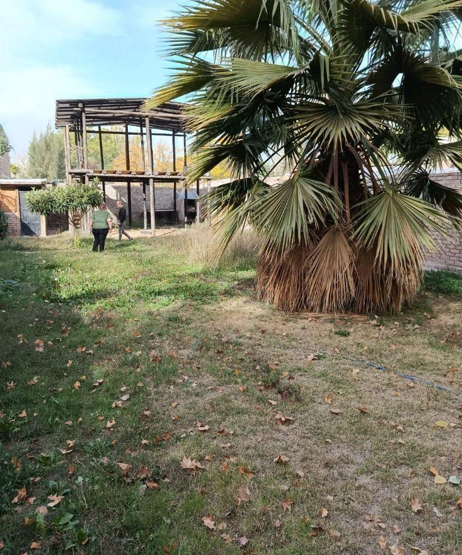 Terreno en venta sobre calle Olascoaga