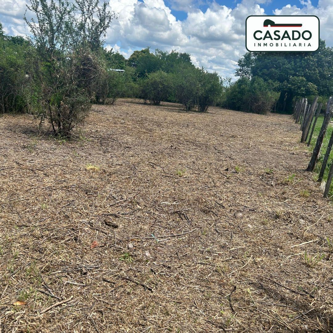 TERRENO EN CALLE MANZANO VILLA GIARDINO