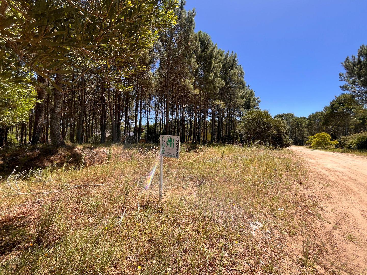 Excelente lote en Venta Barrio Álamos Pinamar