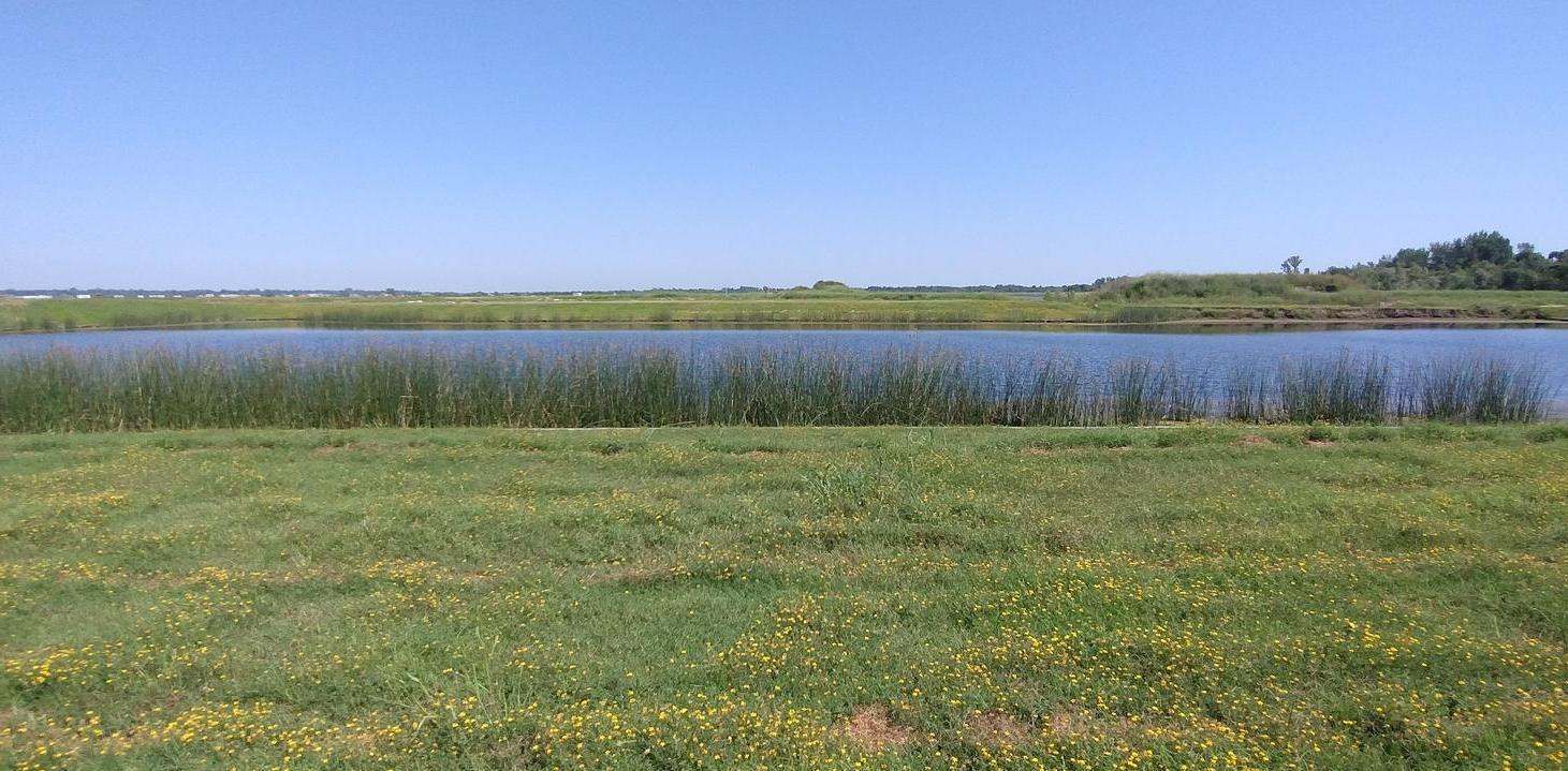 Lote en venta en Barrio Nativas en Puertos del Lago, Escobar