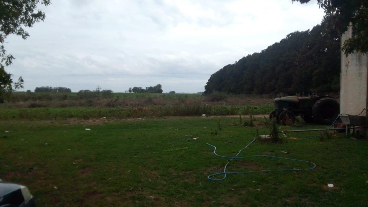 Foto de Chacra en Venta, 4.7has, en Baradero, Provincia de Buenos Aires, imagen 3