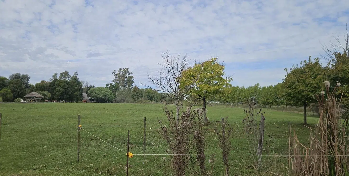 Terreno en Venta, 2080m2, en Campana 2