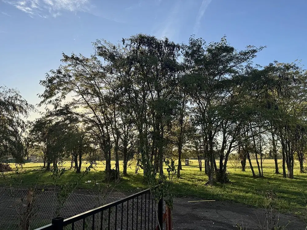 Casa en Venta 7 Ambientes en Barrio El Tilbury - Pilará 5