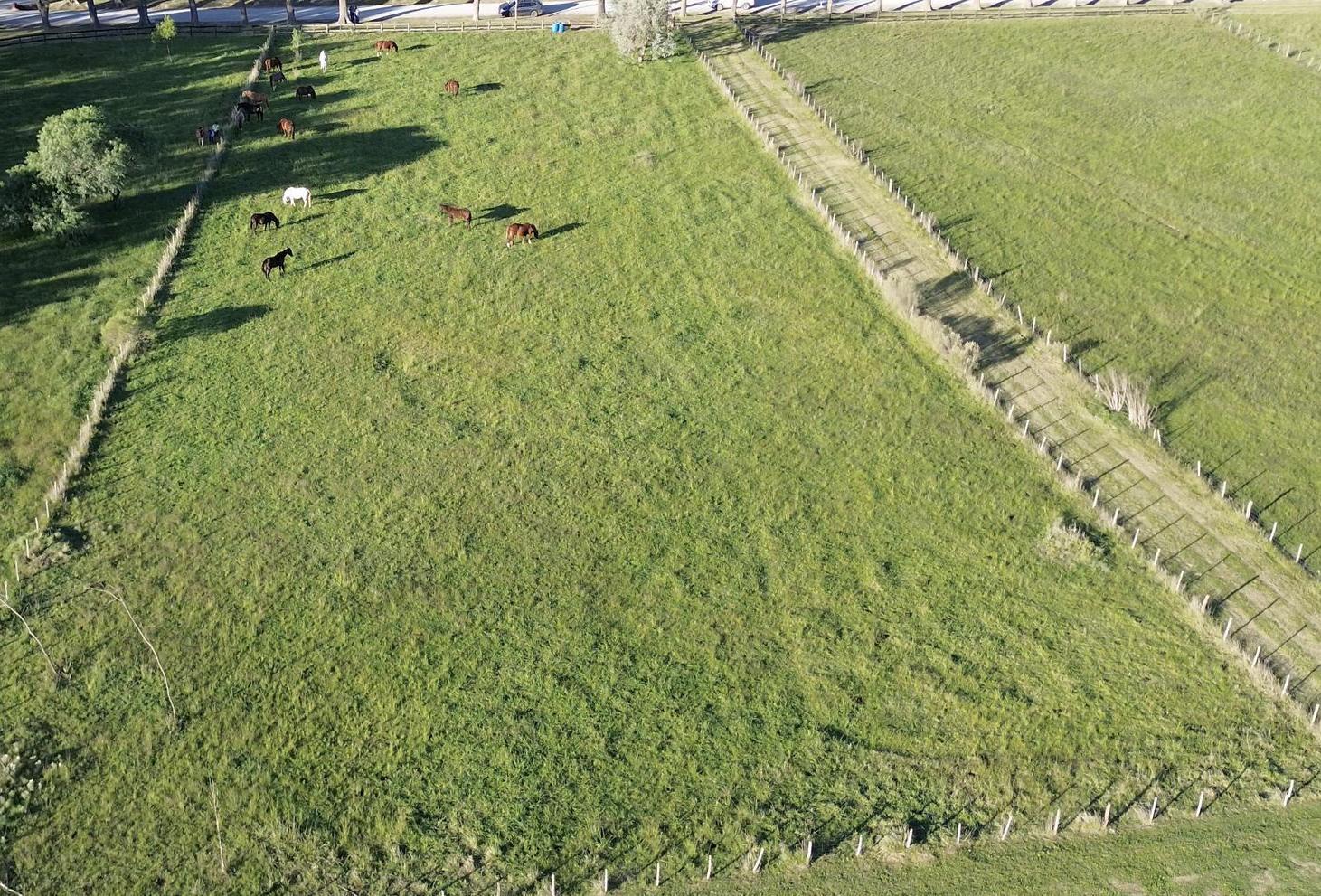 Foto de Terreno en Venta en El Malacate - Exaltación de La Cruz, imagen 5