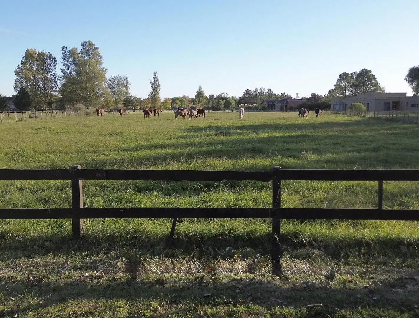 Terreno en Venta en El Malacate - Exaltación de La Cruz 4