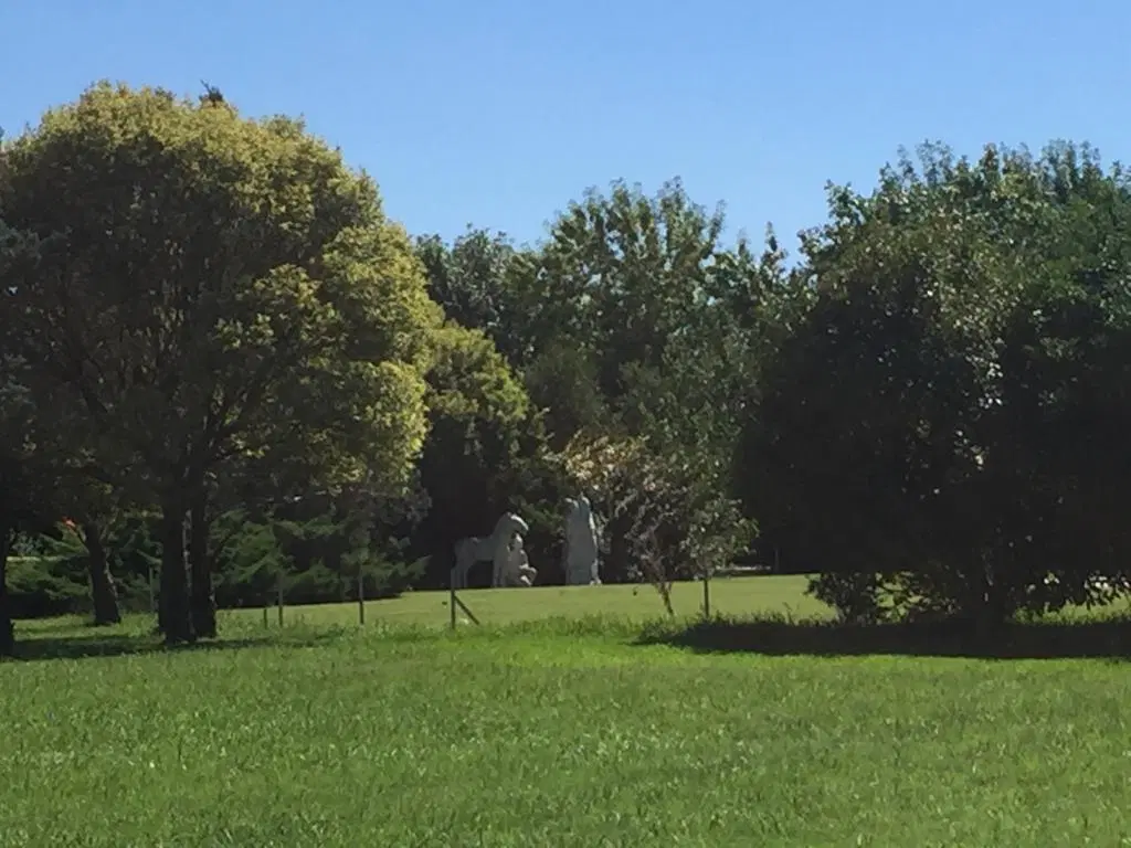 Terreno en venta vista Golf - Mayling Club de Campo 5