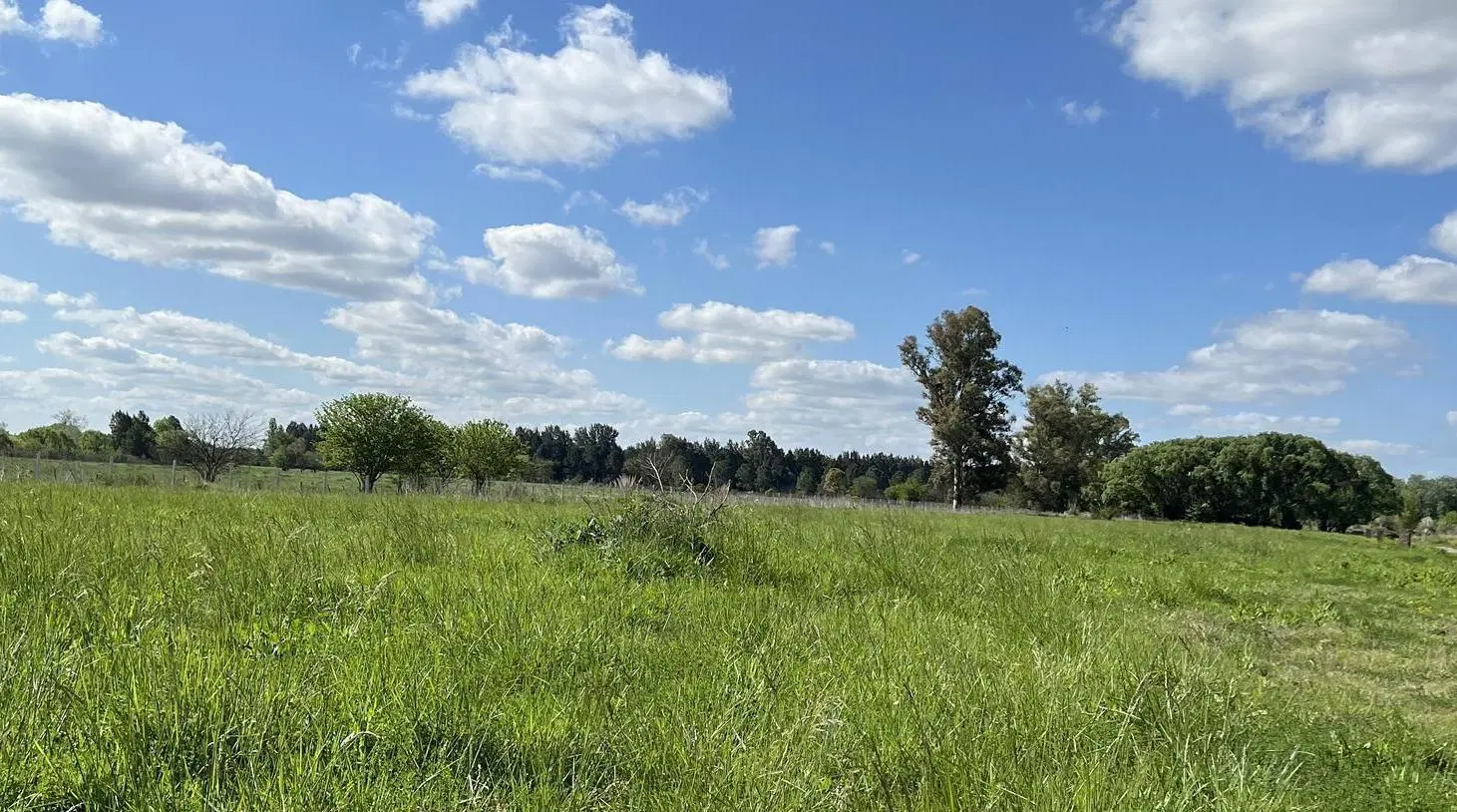 Lote en Venta, 1505m2, en Pinares Country Club, Exaltación de la Cruz, GBA Norte 4