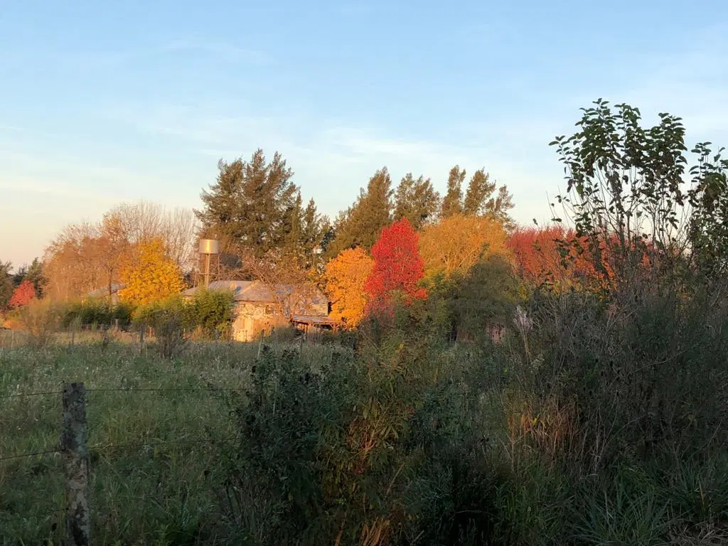 Terreno en Venta en Altos de Cardales - Campana 5