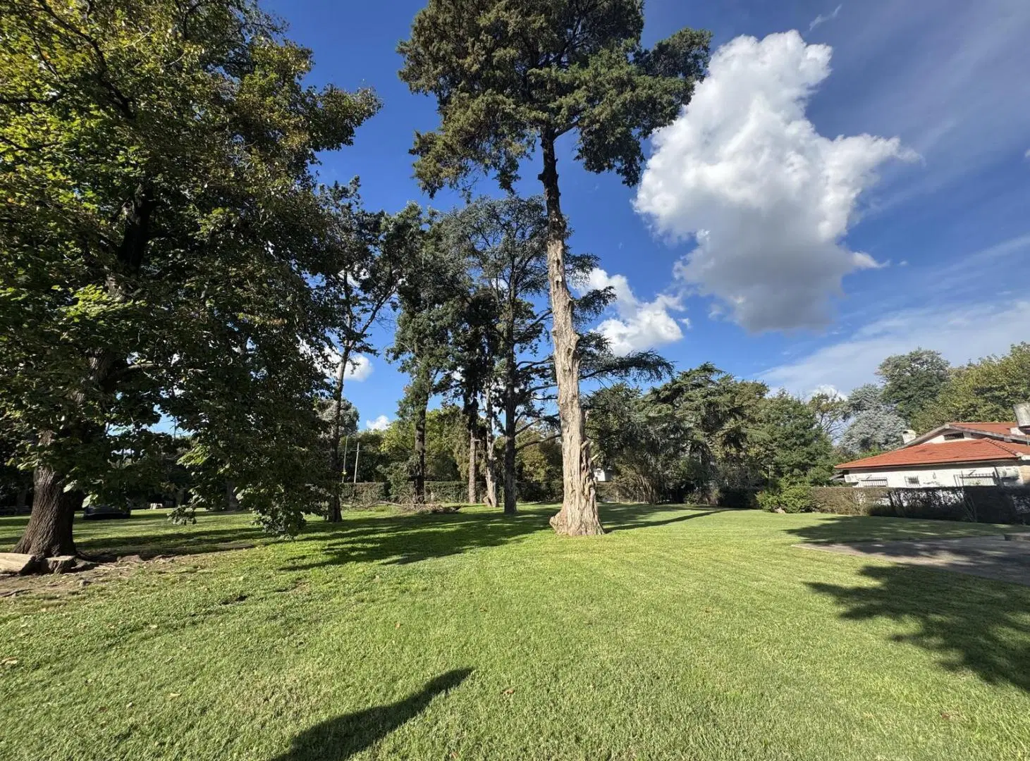 Quinta en Venta en Ricardo Rojas - Tigre 4