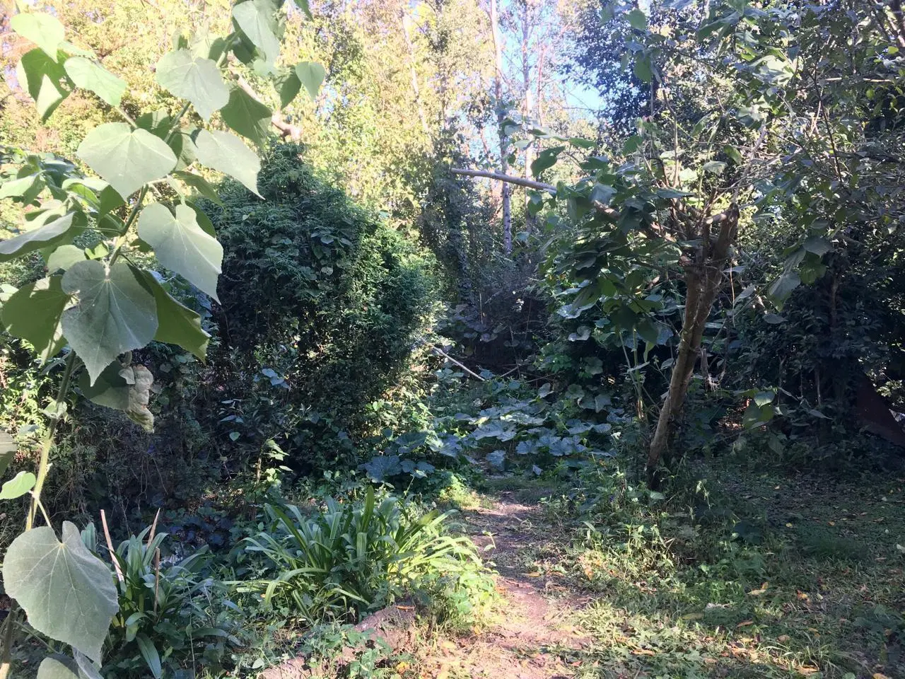 Terreno en Venta de 1000 mts en Barrio Abierto - Ing. Maschwitz, GBA Norte 2