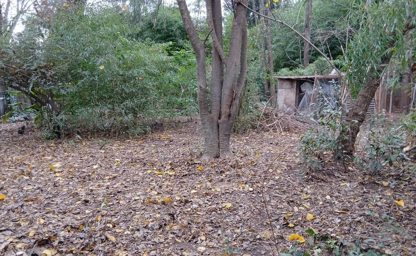 Terreno en Venta de 1000 mts en Barrio Abierto - Ing. Maschwitz, GBA Norte 3