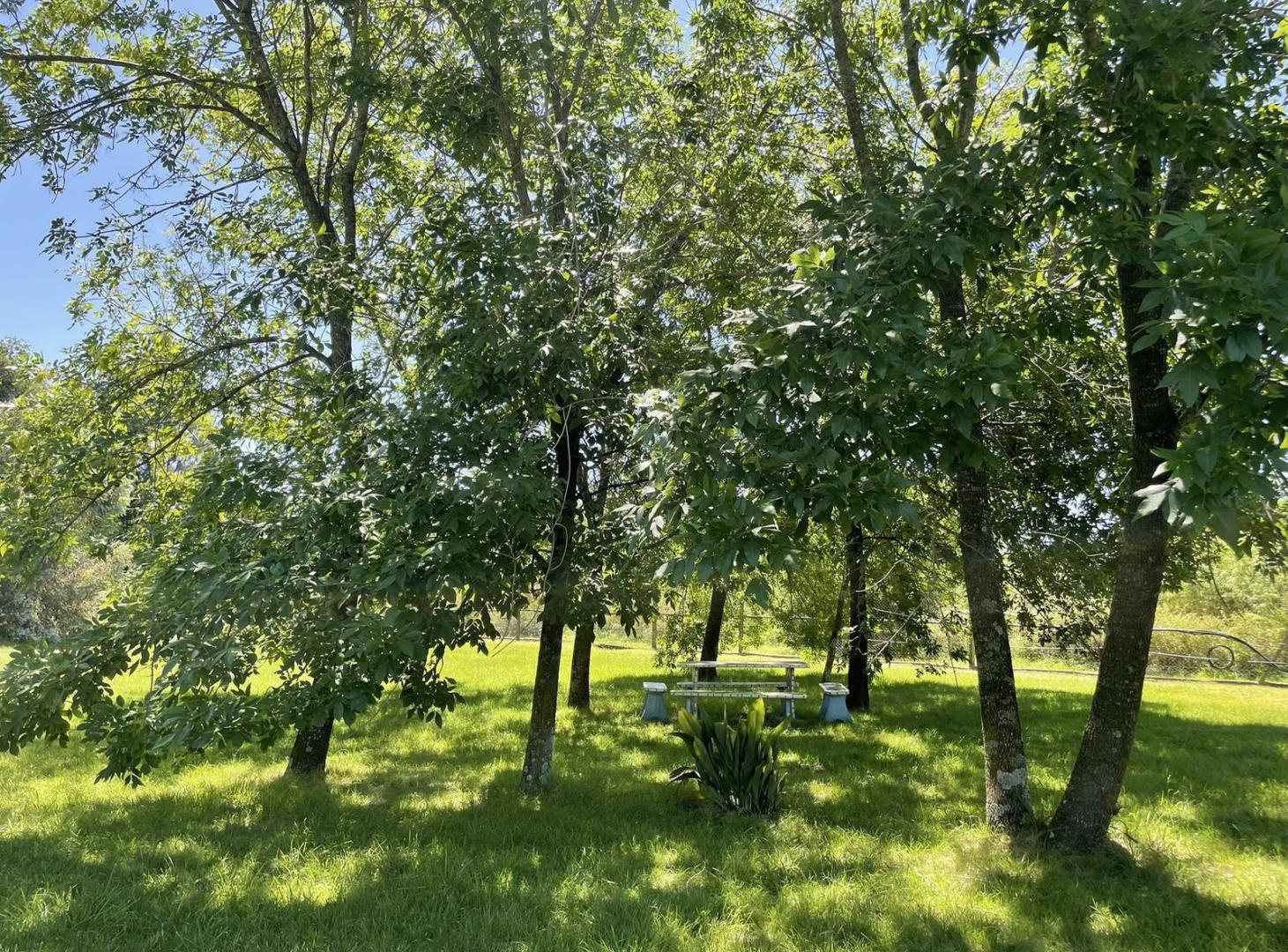 Foto de Casa en Venta 5 Ambientes en Barrio Cerrado La Escondida, Manzanares, imagen 4