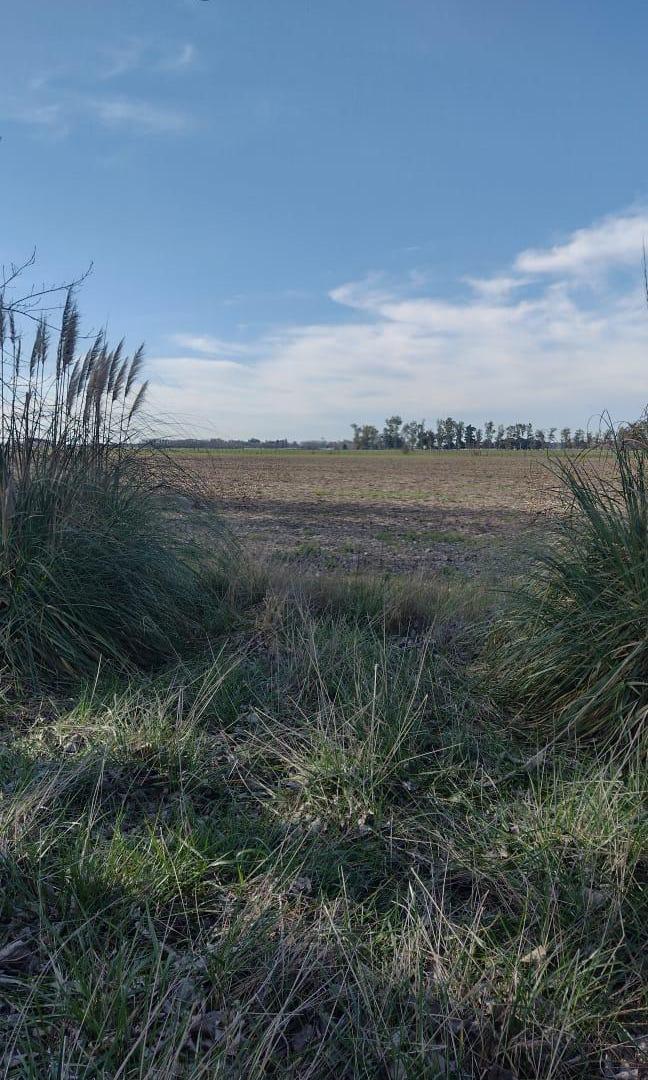 Foto de Campo en venta de 940000m2 en Villa Espil, San Andres de Giles, imagen 4
