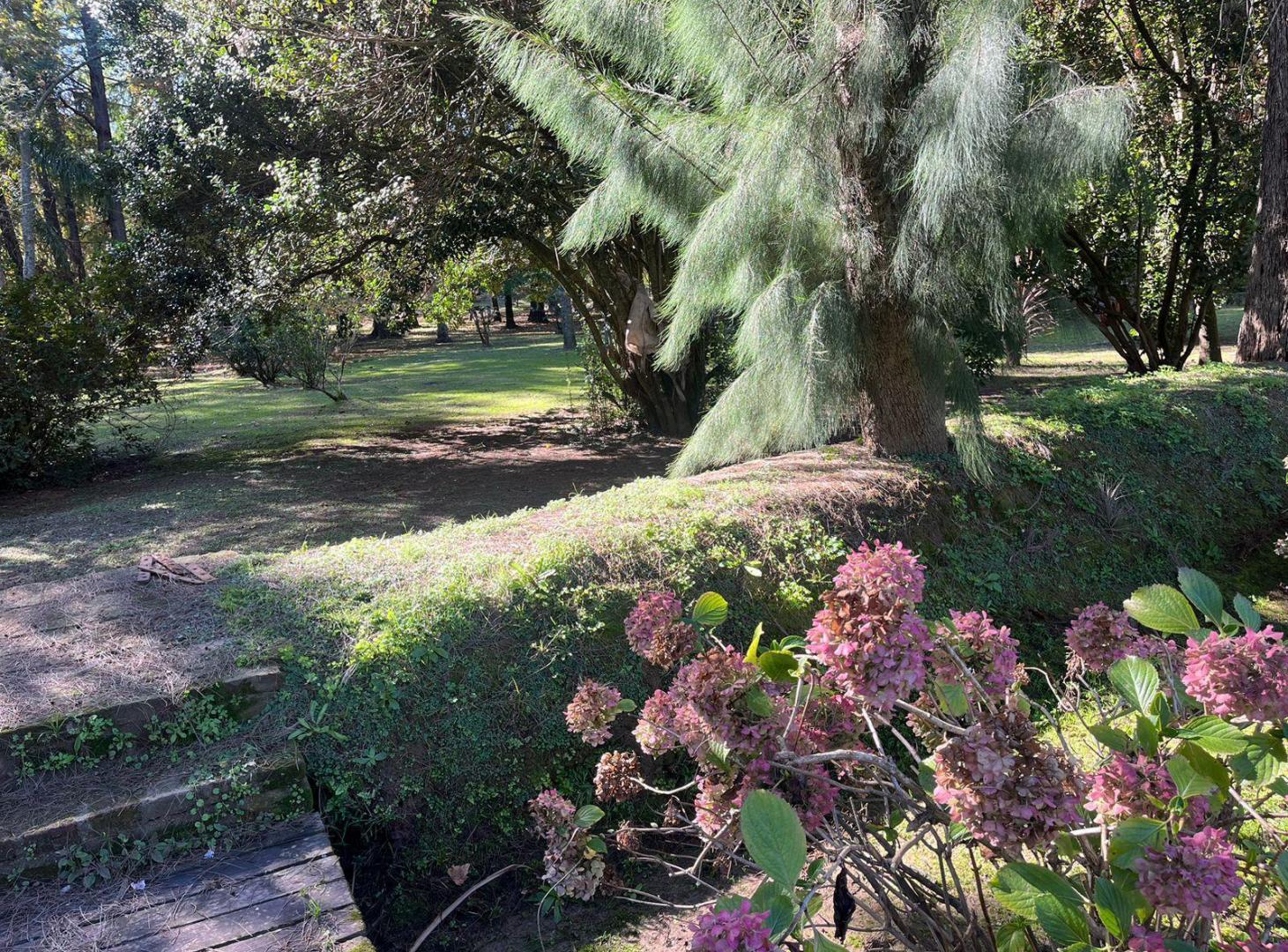 Foto de Casa Quinta en Venta, 5 Ambientes, en el Delta, Tigre, imagen 5