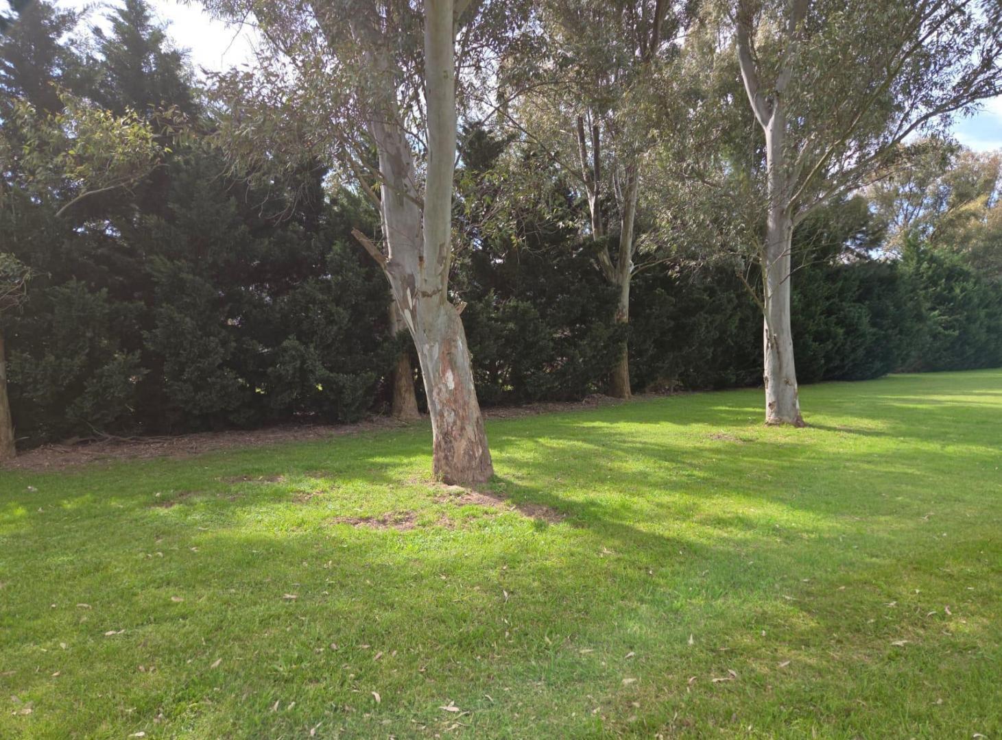 Foto de Lote en venta de 14.253 m2 en Chacras del Paraná, Zarate, imagen 4