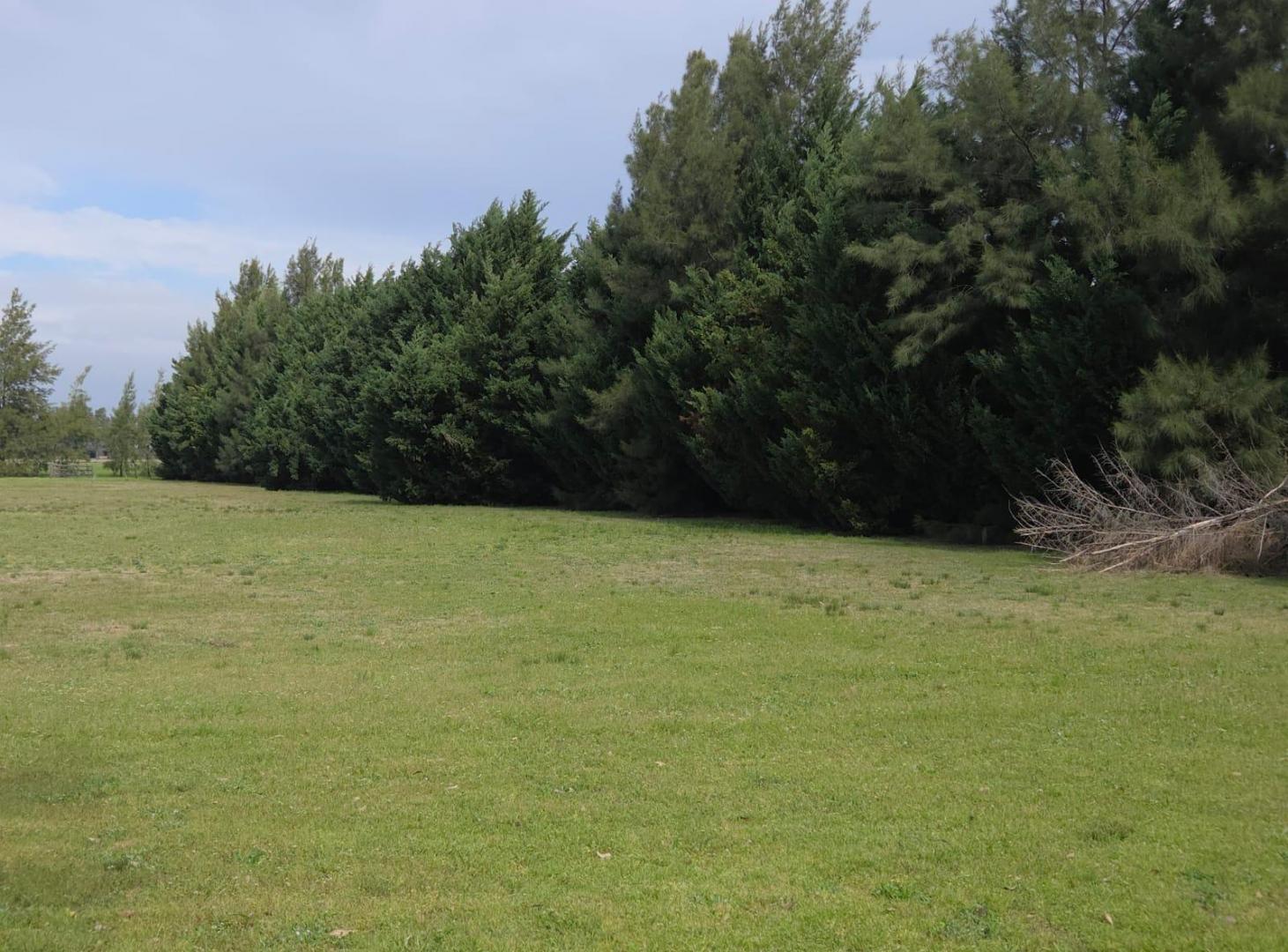 Foto de Lote en venta de 14.253 m2 en Chacras del Paraná, Zarate, imagen 4