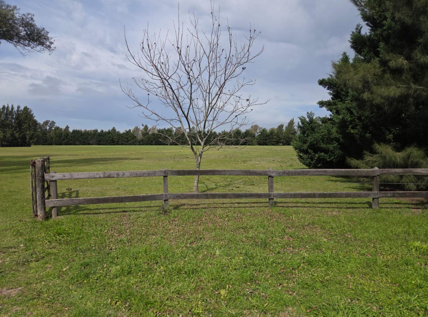 Foto de Lote en venta de 14.253 m2 en Chacras del Paraná, Zarate, imagen 3