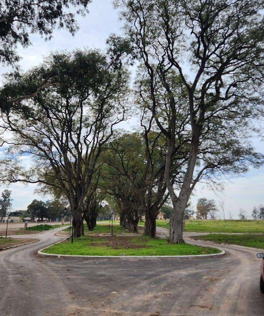 Foto de Lote de 800 m2, en Venta en Estancia Carabassa N 54, Pilar, GBA Norte, imagen 5