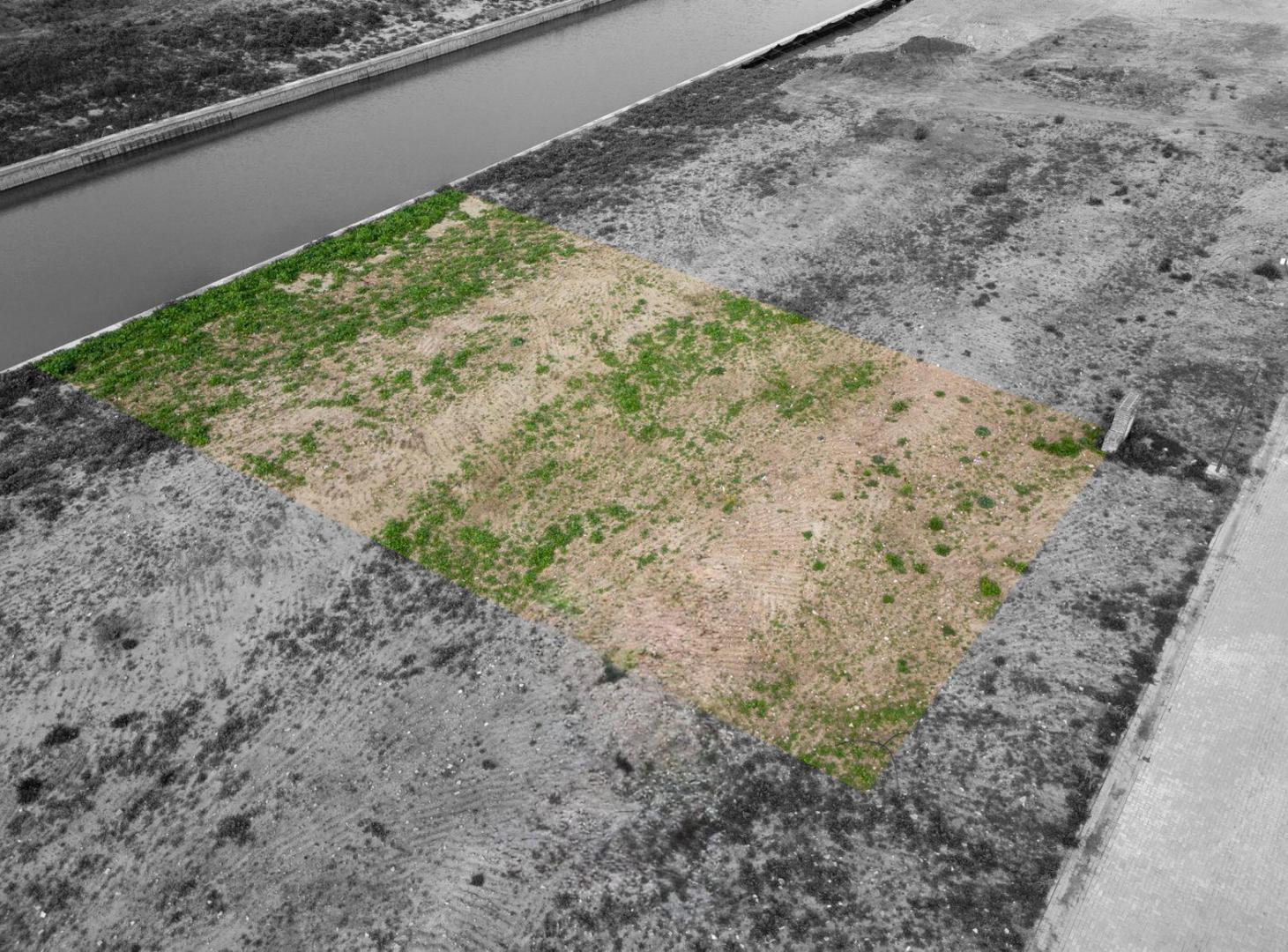 Foto de Terreno en Venta con Amarra, 720m2, en Barrio Náutico, Villanueva, imagen 3
