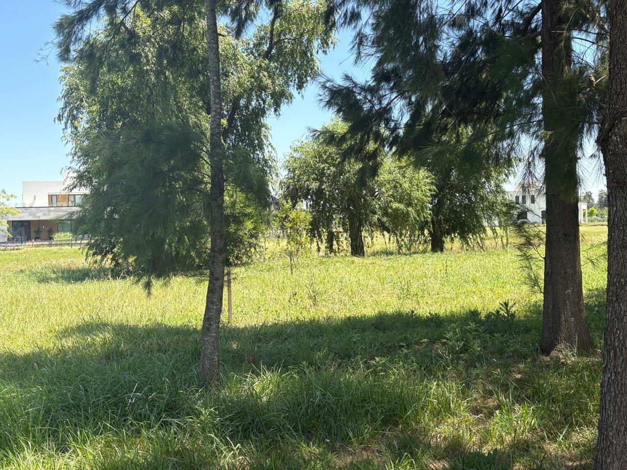 Foto de Terreno/Lote en venta en Barrio Azzurra Tortugas, imagen 4