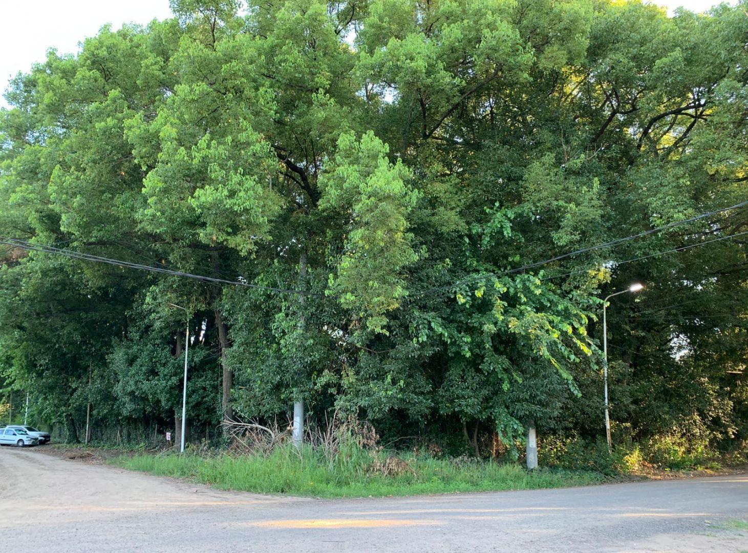 Foto de Terreno de 5400 m2 en venta en Del Viso, Pilar, GBA Norte, imagen 1