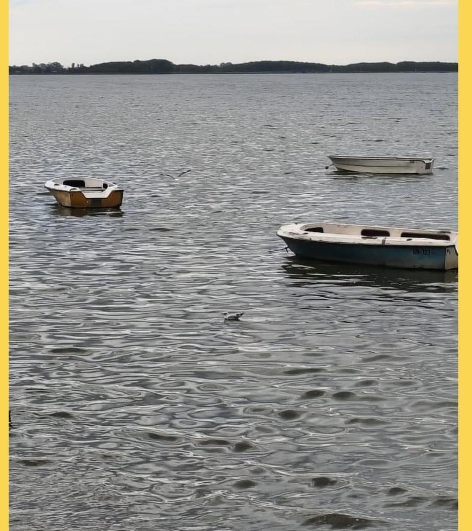 Foto de Complejo de cabañas en venta en Laguna de Lobos, Lobos, PBA, imagen 3