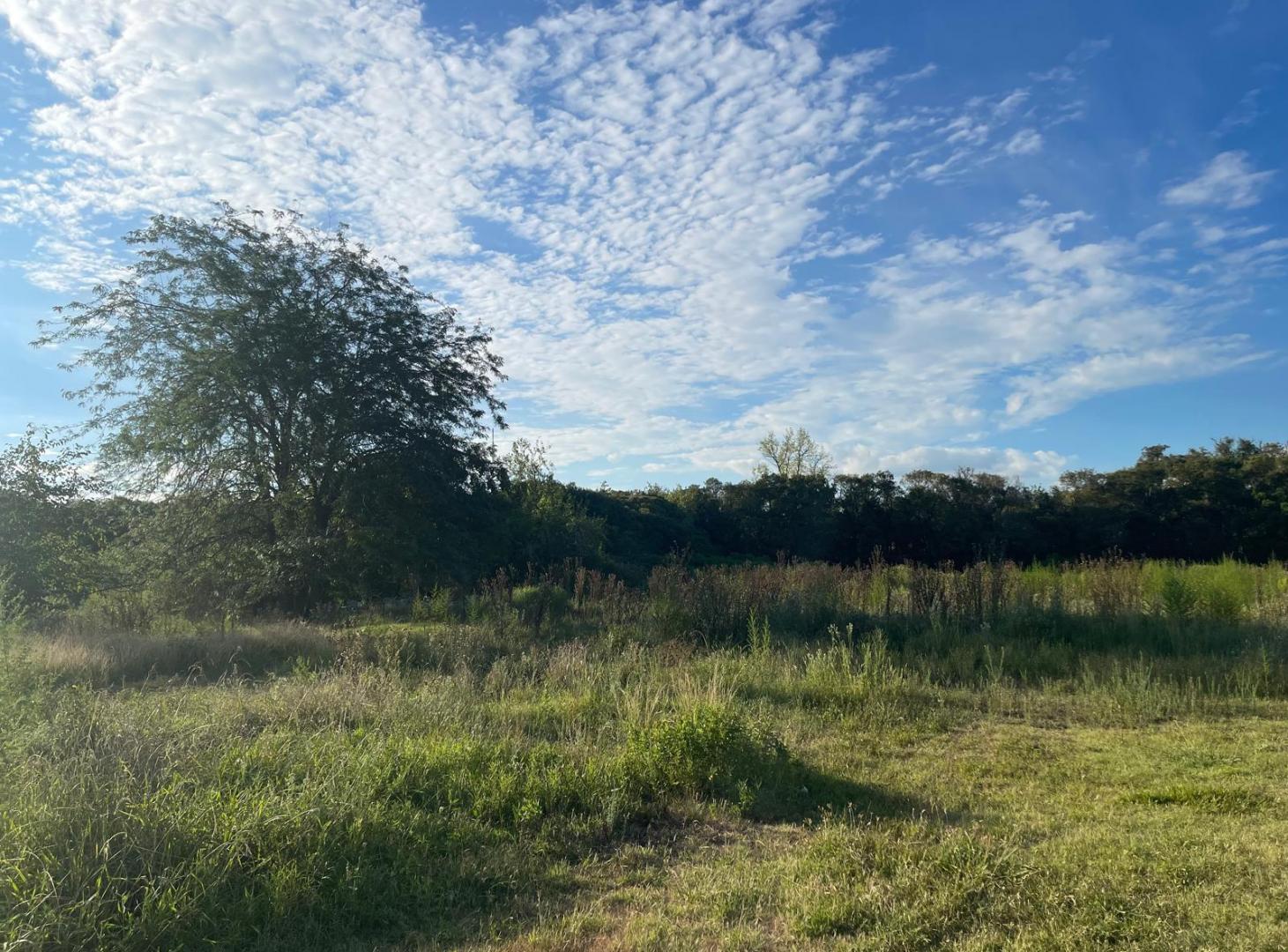 Foto de Campo en venta en Lujan, GBA Oeste, imagen 4