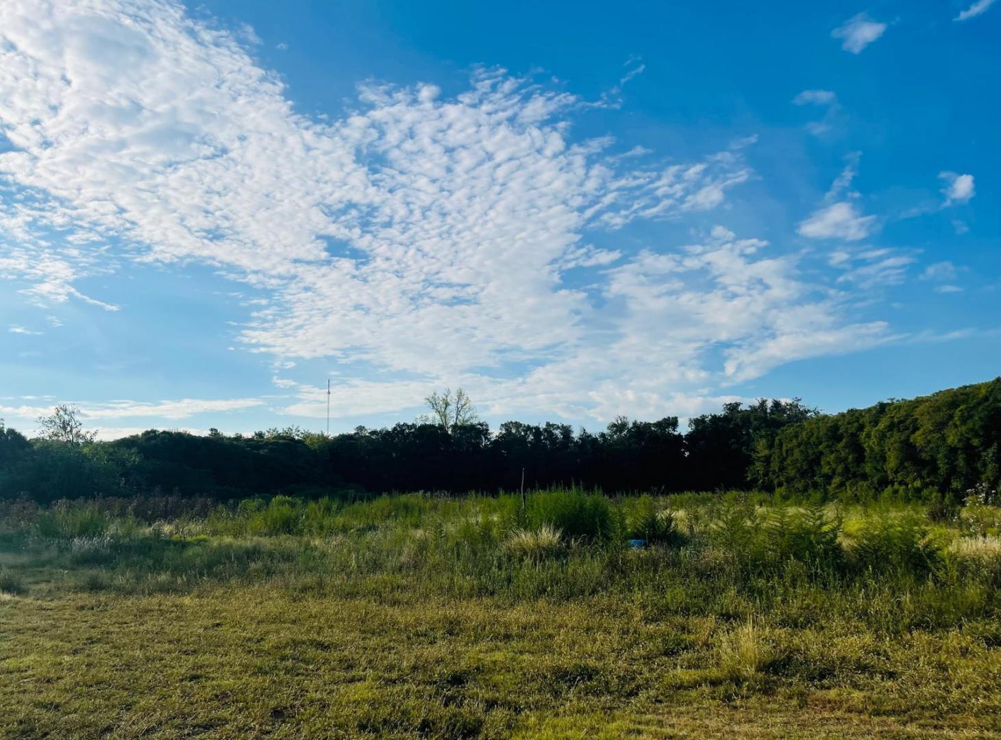 Foto de Campo en venta en Lujan, GBA Oeste, imagen 2