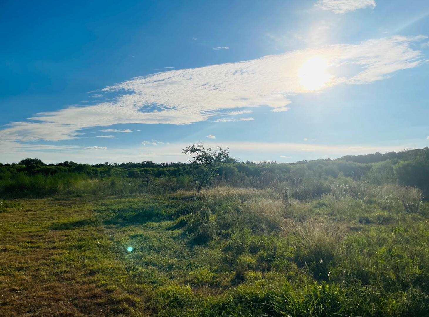Foto de Campo en venta en Lujan, GBA Oeste, imagen 5